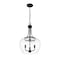 Z-Lite Joliet 3 Light Pendant, Matte Black & Clear 473P16-MB - alternate 3
